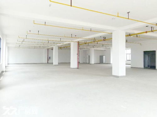武漢光谷新動力優質廠房出租，800平米僅20元/平，軟件開發理想之選