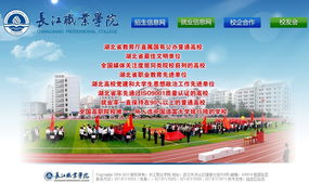 武漢市陸叁玖科技 一站式數字解決方案，助力企業騰飛